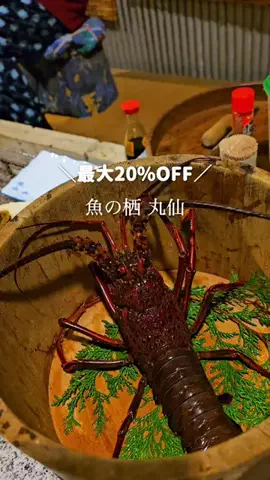 『外さない旅行ガイド｜旅好きカップルのおすすめ』のTikTok投稿