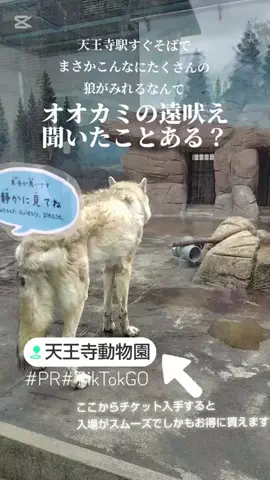 kazamakizunaのTikTok投稿