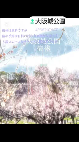 kazamakizunaのTikTok投稿