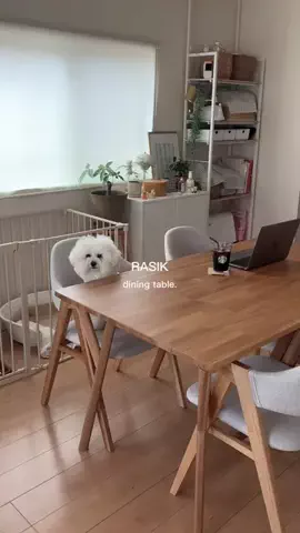momoのTikTok投稿