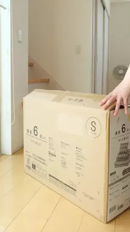 ぴょこぴょこぴのTikTok投稿