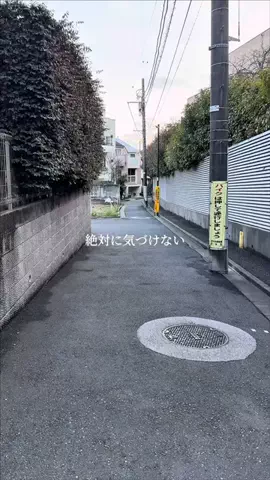 至福グルメのTikTok投稿