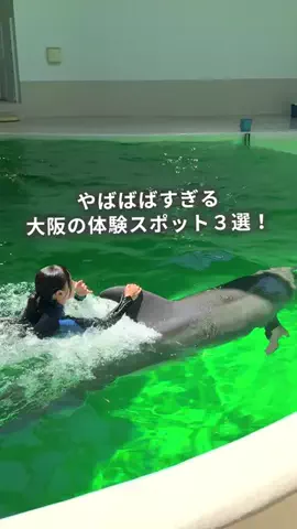 フウタ | 休日の癒し旅のTikTok投稿