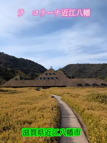ホテル紹介チャンネルのTikTok投稿