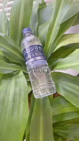 ゆり姉🌺のTikTok投稿