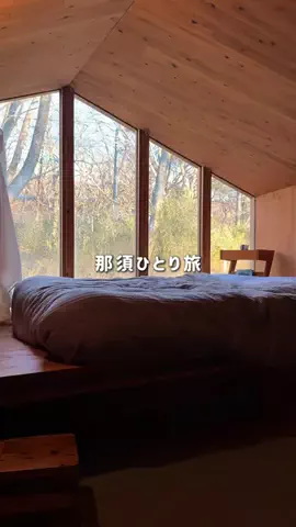mii_solotravelのTikTok投稿