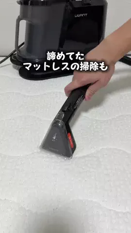 いとパパのTikTok投稿
