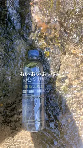 ゆり姉🌺のTikTok投稿