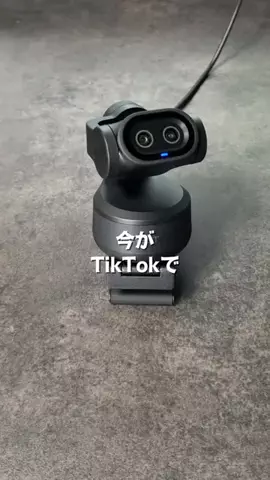 いとパパのTikTok投稿