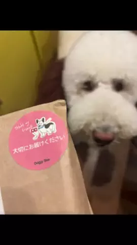 Uru坊🐻‍❄️🦴のTikTok投稿
