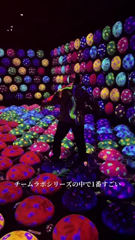 旅するtakkiのTikTok投稿