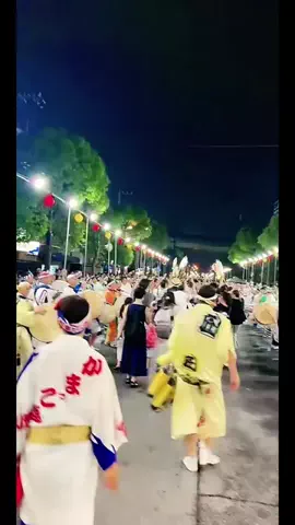 ハイスイ🐬🌱のTikTok投稿
