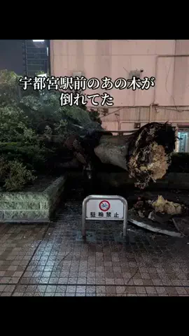 ハイスイ🐬🌱のTikTok投稿