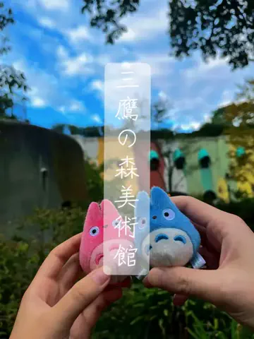 Ghibli_AmourのTikTok投稿