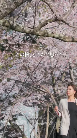 三重グルメ／MIE SELECTのTikTok投稿
