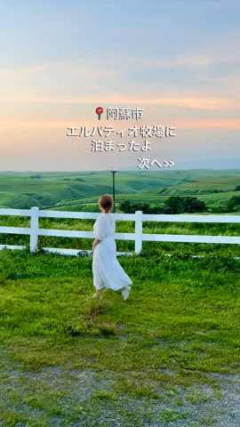 旅好きデザイナー ♥︎なおなおのTikTok投稿