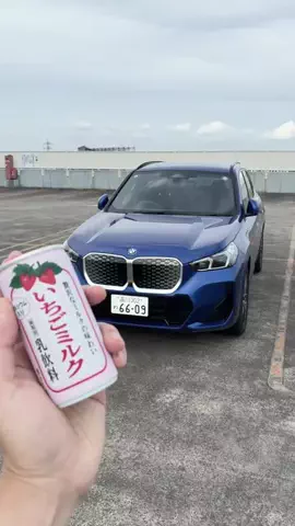 年収300万だけど高級車のTikTok投稿