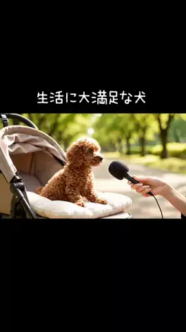 犬猫総合製薬株式会社のTikTok投稿