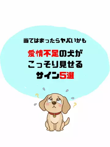 犬猫総合製薬株式会社のTikTok投稿