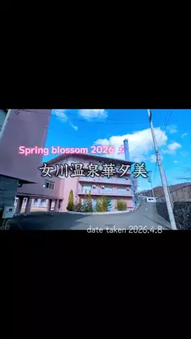 cjカオルのTikTok投稿
