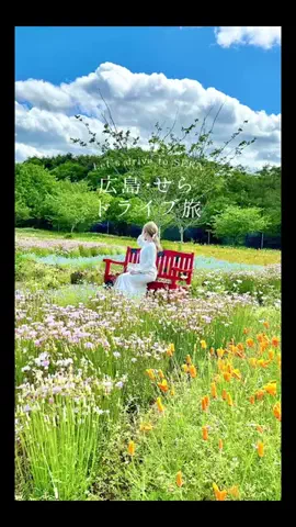 旅好きデザイナー ♥︎なおなおのTikTok投稿