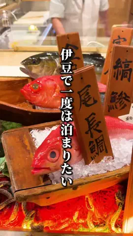 もじゃたび⌇静岡発✈︎旅行・観光・ホテルのTikTok投稿