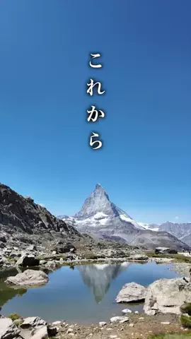 パイナップルりょう（韓国）のTikTok投稿