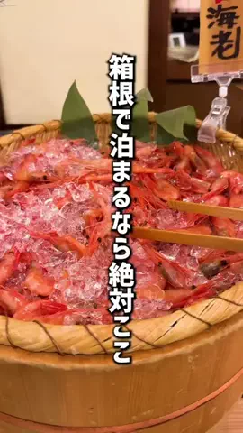 もじゃたび⌇静岡発✈︎旅行・観光・ホテルのTikTok投稿
