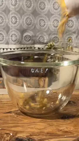 おりのTikTok投稿