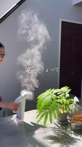 ちこのおうちのTikTok投稿