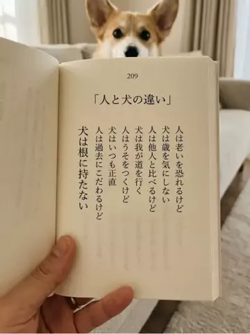 犬猫総合製薬株式会社のTikTok投稿