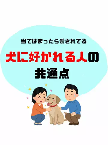犬猫総合製薬株式会社のTikTok投稿