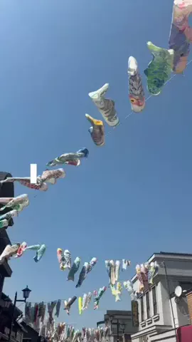 ミス学習院コンテスト2026【公式】のTikTok投稿