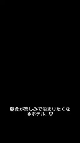 モナ王🐶ピノの愛犬旅行のTikTok投稿