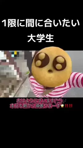 ミス学習院コンテスト2026【公式】のTikTok投稿