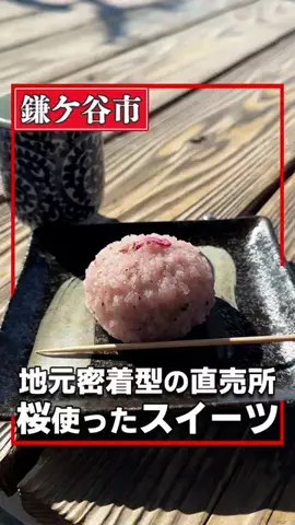 千葉グルメのTikTok投稿