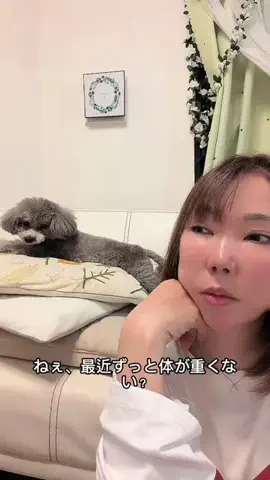 モナ王🐶ピノの愛犬旅行のTikTok投稿