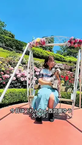 モナ王🐶ピノの愛犬旅行のTikTok投稿