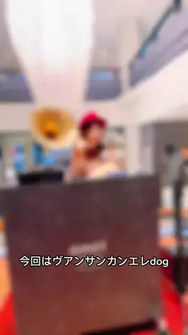モナ王🐶ピノの愛犬旅行のTikTok投稿