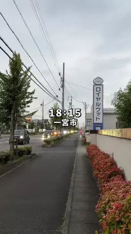 なごやハンター/なごはんのTikTok投稿