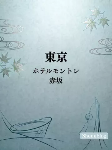 shuuublog/ホテル紹介のTikTok投稿