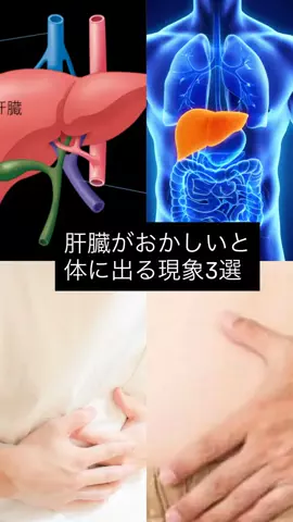 酒雑学上戸女子のTikTok投稿