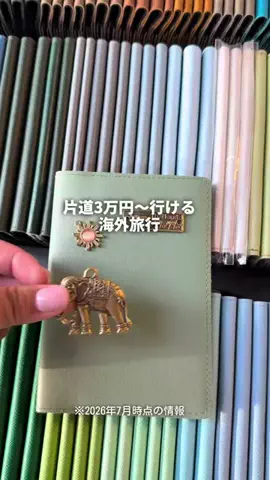 トンちゃん🐷ひとり女子旅のTikTok投稿