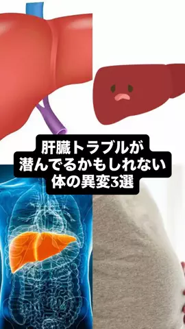 酒雑学上戸女子のTikTok投稿
