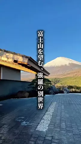 ココロ旅人のTikTok投稿