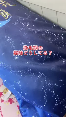 底辺ガンプラ女子🧚‍♀️MIKAﾁｬﾝのTikTok投稿
