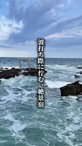 ココロ旅人のTikTok投稿