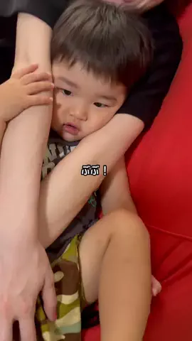お肉丸と親父🐷🍖のTikTok投稿