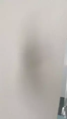 ゆずこのTikTok投稿