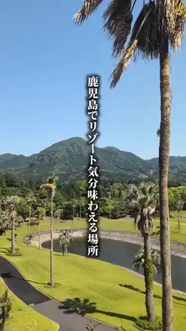 ココロ旅人のTikTok投稿